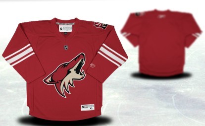 Phoenix Coyotes Youth Customized Red Jersey