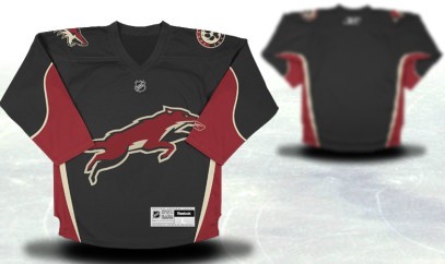Phoenix Coyotes Youth Customized Black Third Jersey