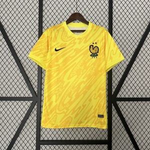 2024 Goalkeeper France Yellow Jersey S-XXL