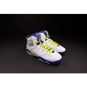 Air Jordan 6 GS Shoes