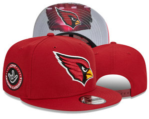 Arizona Cardinals Snapbacks NT