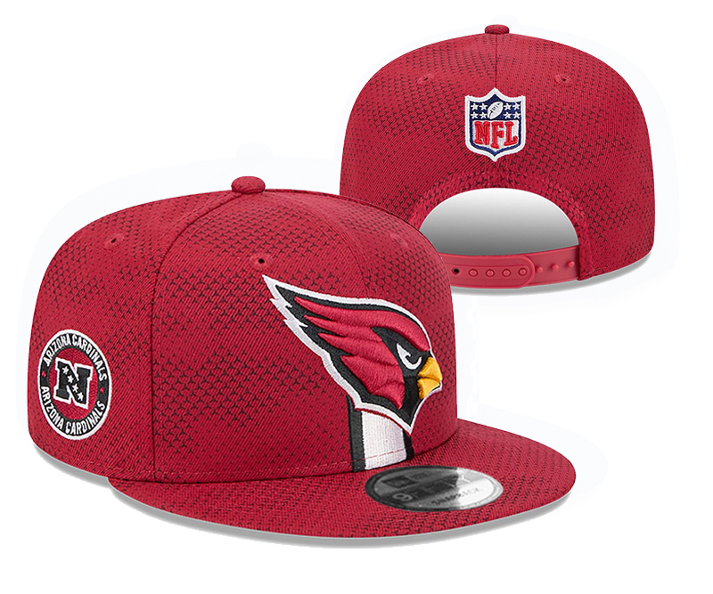 Arizona Cardinals caps tx 1
