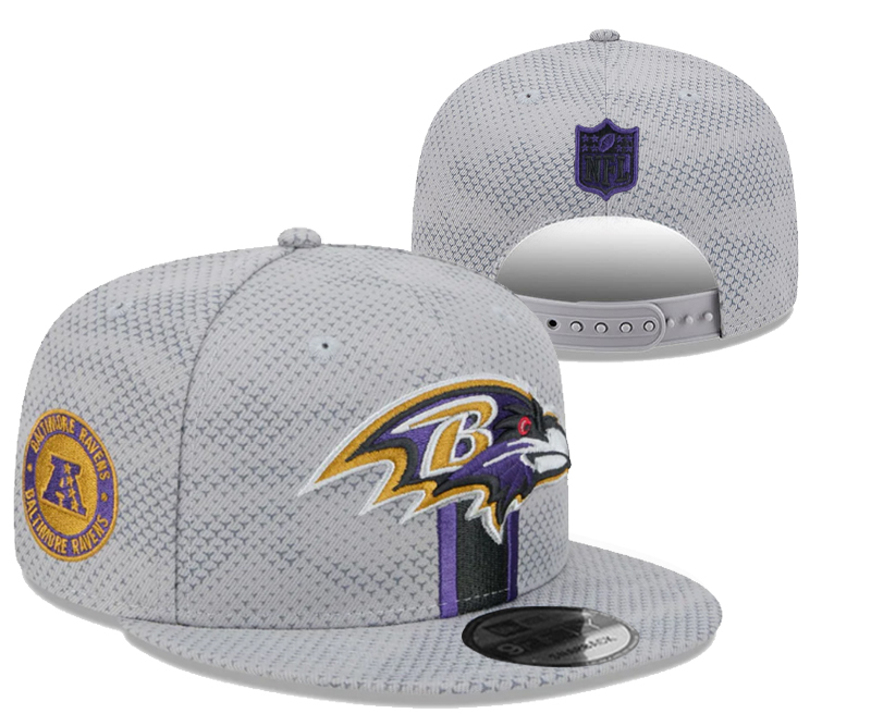 Baltimore Ravens Snapbacks NT 3