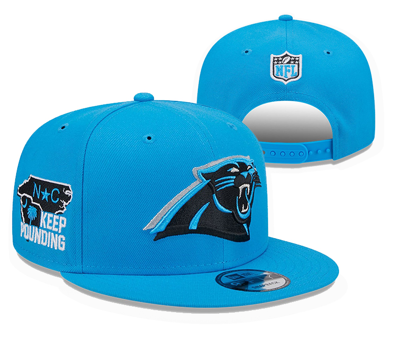Carolina Panthers Snapbacks nt 3