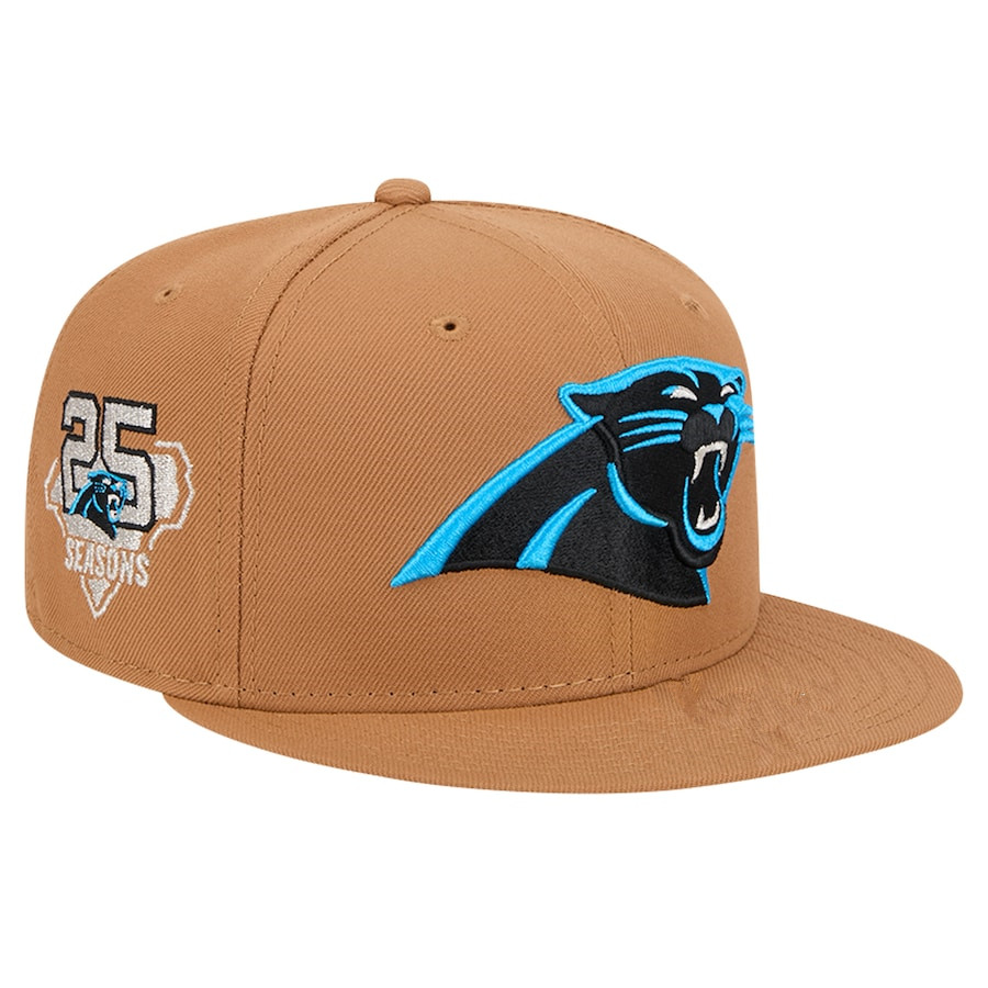 Carolina Panthers Snapbacks tx 5