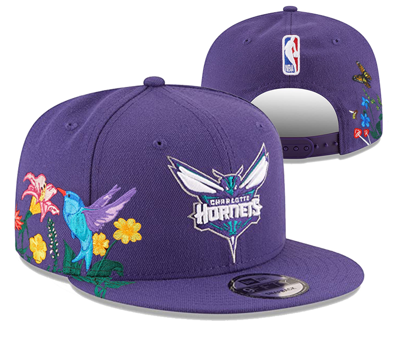 Charlotte Hornets snapbacks nt