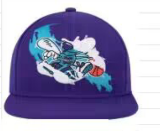 Charlotte Hornets snapbacks tx