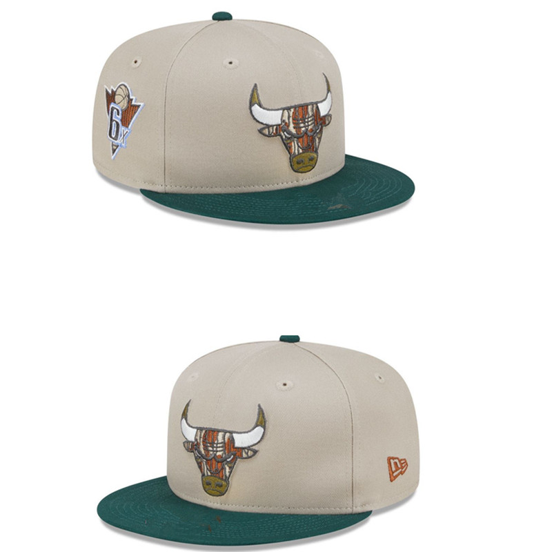 Chicago Bulls snapbacks tx 41
