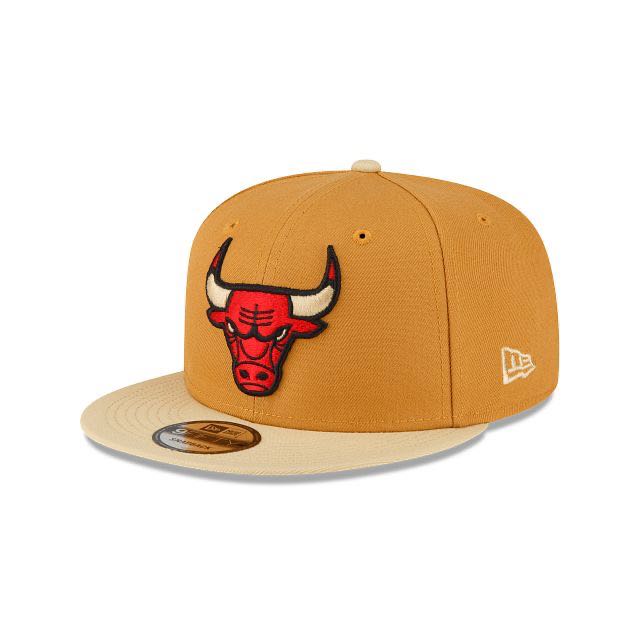 Chicago Bulls snapbacks tx 42