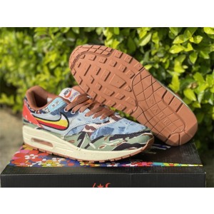 Concepts x Nike Air Max 1 Heavy Shoes