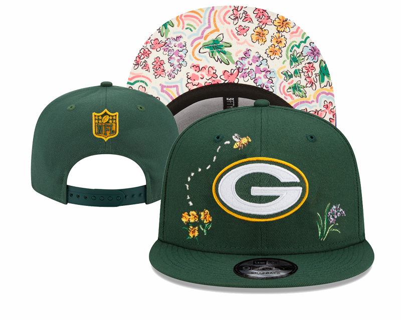 Green Bay Packers Snapbacks nt 3