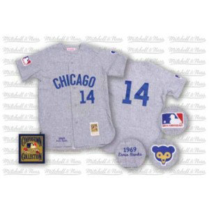 MLB Cubs 14 Ernie Banks Grey Mitchell and Ness Throwback Men Jersey
