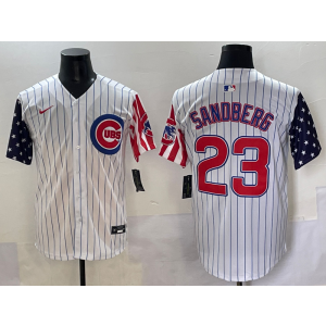 MLB Cubs 23 Ryne Sandberg USA Flag Nike Cool Base Men Jersey