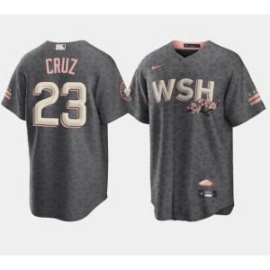 MLB Nationals 23 Nelson Cruz 2022 Gray City Connect Cherry Blossom Nike Cool Base Men Jersey