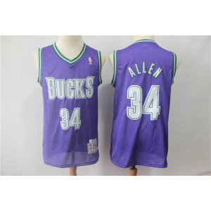 NBA Bucks 34 Ray Allen Purple Hardwood Classics Men Jersey