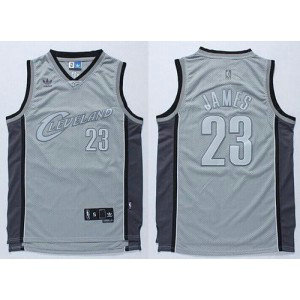 NBA Cavaliers 23 LeBron James Grey Anniversary Style Men Jersey