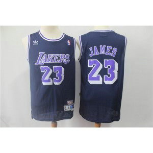 NBA Lakers 23 LeBron James Dark Blue Purple Throwback Men Jersey