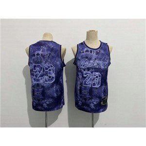 NBA Lakers 23 LeBron James Purple Throwback Men Jersey