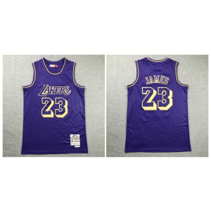 NBA Lakers 23 Lebron James Purple 2008-19 Hardwood Classics Men Jersey