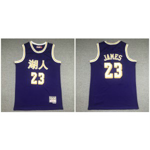 NBA Lakers 23 Lebron James Purple Hardwood Classics 2019 Chinese New Year Men Jersey