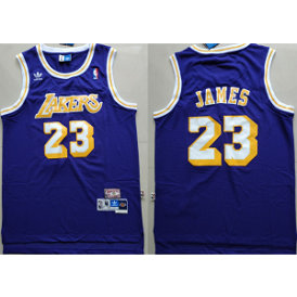 NBA Lakers 23 Lebron James Purple Hardwood Classics Men Jersey 1