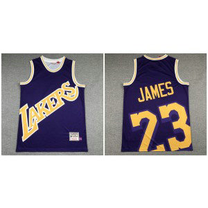 NBA Lakers 23 Lebron James Purple Hardwood Classics Men Jersey