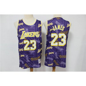 NBA Lakers 23 Lebron James Purple Tear Up Pack Hardwood Classics Men Jersey