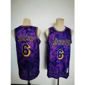 NBA Lakers 6 Lebron James Purple Hardwood Classics Men Jersey