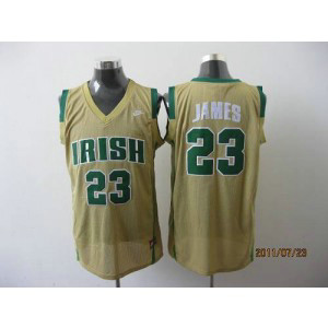 NCAA Notre Dame Fighting Irish 23 LeBron James Earth Yellow High School Men Jersey