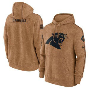 NFL Panthers 2023 Brown Salute to Service Pullover Hoodie