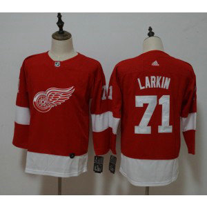 NHL Red Wings 71 Dylan Larkin Red Adidas Youth Jersey