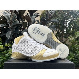 Nike Air Jordan 23 Trophy Room Shoes