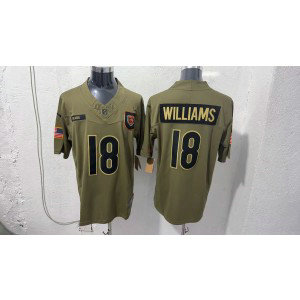 Nike Bears 18 Williams Olive 2025 Salute to Service F.U.S.E. Vapor Limited Men Jersey