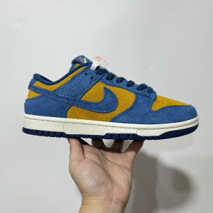 Nike Dunk Blue Brown Shoes