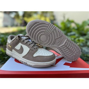 Nike Dunk Low Shoes