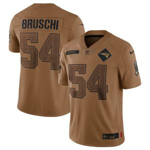 Nike Patriots 54 Tedy Bruschi 2023 Brown Salute To Service Limited Men Jersey