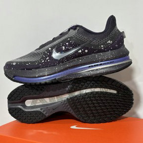 Nike Pegasus Premium Airscape Shoes