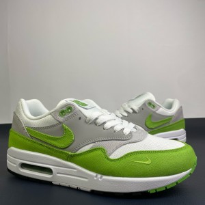 Patta x Nike Air Max 1 Grey Green Shoes