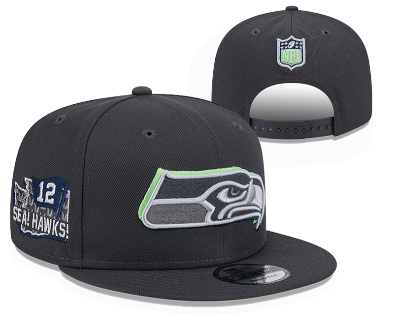 Seattle Seahawks snapback nt