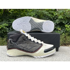 TITAN x Nike Air Jordan 23 Shoes