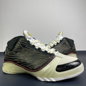 Titan x Nike Air Jordan 23 Black Shoes