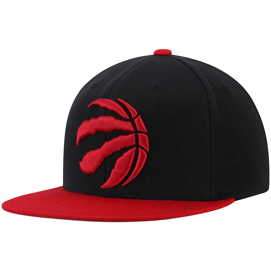 Toronto Raptors snapbacks tx 6